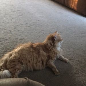 Meet your Posher, Donna